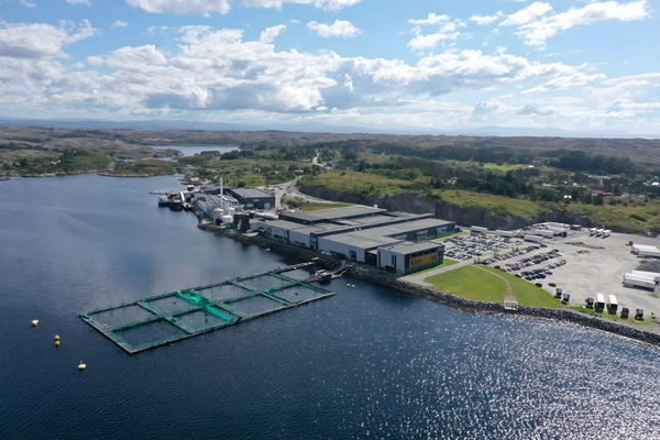 InnovaMar Frøya, Kverva, Frøya