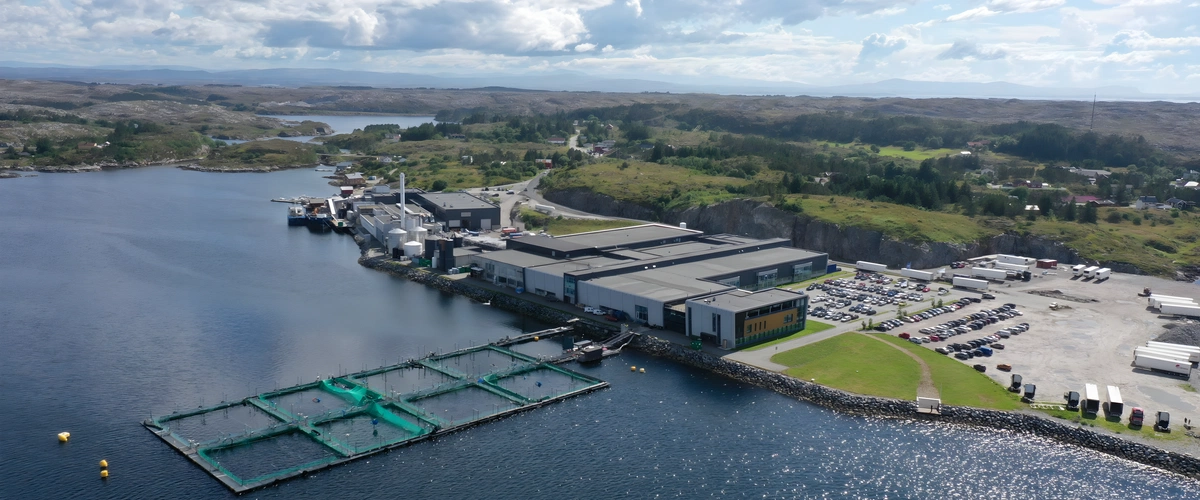 InnovaMar Frøya, Kverva, Frøya