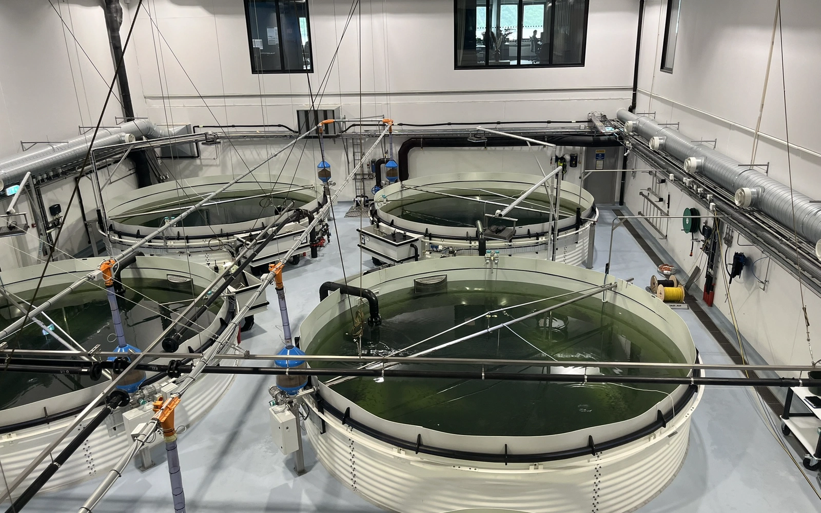 Aquaculture & Hatchery
